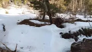 Septic