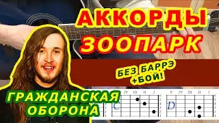 ЗООПАРК Аккорды 🎸 ГРАЖДАНСКАЯ ОБОРОНА ЛЕТОВ ♪ Разбор песни на гитаре ♫ Гитарный бой для начинающих