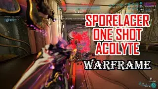 WARFRAME - SPORELACER SMASHING ACOLYTE 2024 | ONE SHOT an ACOLYTE