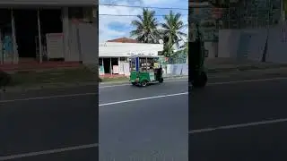 Жизнь на Шри-Ланке