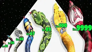 Snake Run Merge & Evolve - Level Up Snake Max Level Gameplay (Snake Evolution Run 3D)
