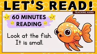 LET'S READ! | READING COMPILATION | PRACTICE READING ENGLISH | 1 HR ENGLISH READING | TEACHING MAMA