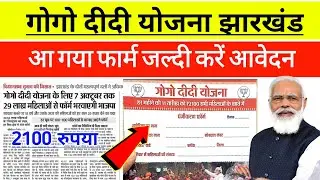 gogo didi yojana | गोगो दीदी योजना | gogo didi yojana form | gogo didi yojana kab se chalu hoga