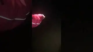 КРУПНЫЙ НАЛИМ на ДОНКУ
