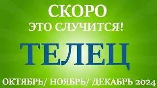 ТЕЛЕЦ♉ ОКТЯБРЬ, НОЯБРЬ, ДЕКАБРЬ 2024🌷4 триместр/квартал года! Главные события периода! Таро прогноз