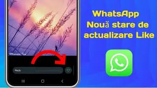 Opțiune de like pentru starea WhatsApp - Noua actualizare WhatsApp
