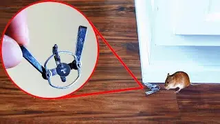 Trapping with the World’s Smallest Traps