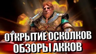 Стрим № 330 Капитан Пёсик Raid Shadow Legends
