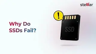 Recovering Data from a Failed SSD: What You Need to Know?