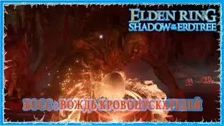 ВОЖДЬ КРОВОПУСКАТЕЛЕЙ - CHIEF BLOODFIEND 🔥 ELDEN RING