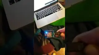 Example of esp8266-alexa-wemo-emulator arduino library