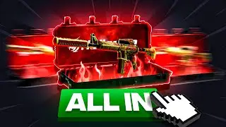 WE SHOULD HAVE DONE A PREMIUM ALL-IN... 🔥😿 (Hellcase)