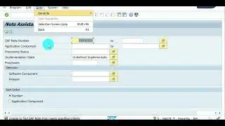 Video 48: ABAP For ALL - SAP Note Process