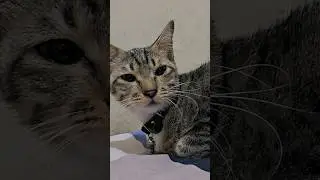 Penguasa Langit Dan Bumi!! 