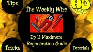 Terraria The Weekly Wire Ep11 - Maximum Regeneration Guide