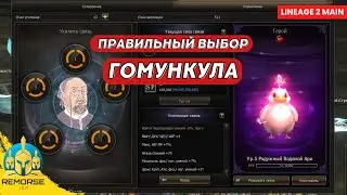 Гомункулы в Lineage 2 Main Гайд для новичков по выбору Гомункула | Руофф 4game