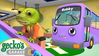 Oh No! Bus Has a Boo Boo! | Animals for Kids | Funny Cartoons | Learn about Animals