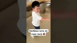 Хасбик испугался тигра 😂 