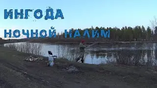 ОТКРЫТИЕ ЛЕТНЕГО СЕЗОНА. НОЧНОЙ НАЛИМ НА РЕКЕ ИНГОДА