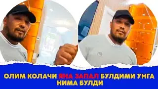 Олим Колачи яна запал булдими унга нима булди янги видео