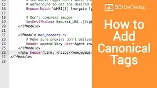 How to Add Canonical Tags