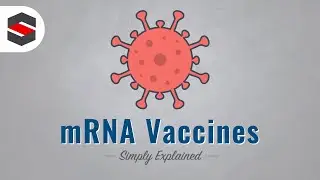 How mRNA Vaccines Work - Simply Explained