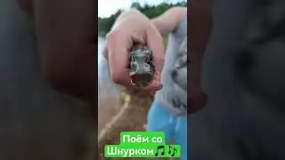 Поем со Шнурком🎶🎵 #поем #цой #звездапоименисолнце