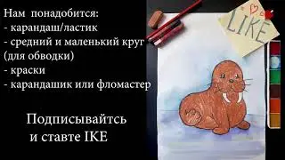 Рисуем с детками Моржа ( моржик)