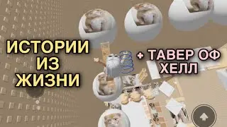 СБОРНИК МОИХ ИСТОРИЙ ИЗ ЖИЗНИ + тавер оф хелл 🤫