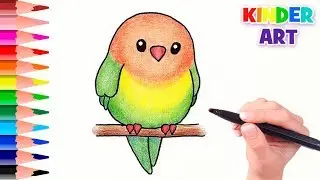 Как нарисовать попугая | How to draw a parrot