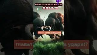 Можете да промените структората на ума си 