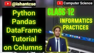 Python Pandas DataFrame Tutorial on Columns