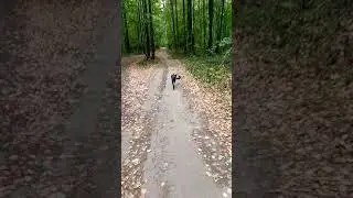 Фенрир и Саванна