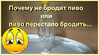 Почему не бродит пиво? Пиво перестало бродить, что делать?