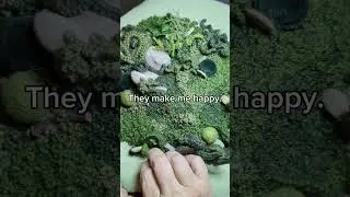 Make Art that Makes You Happy