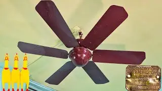 6 Blades x 1525mm Limited Edition Crompton Parkinson 1936 [INDUS] vs 6 Squaking Screaming Chicken 😂😂