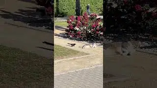 Как действуют провокаторы  
