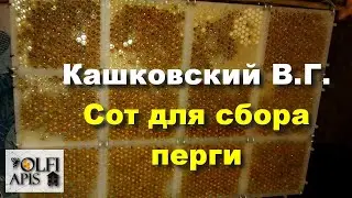 #Кашковский