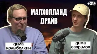 дима гаврилов: «малхолланд драйв» | вот, что я сегодня посмотрел