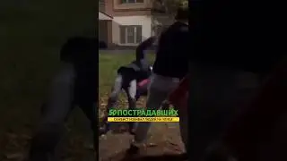 Самбист избивал людей в 