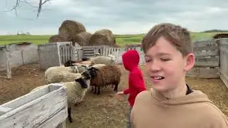 Канадский фермер - 120