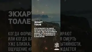 Экхарт Толле. Эго - это отождествление с формой. #shorts #shortsvideo #youtubeshorts