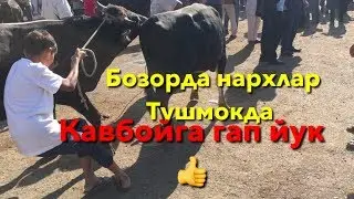 16.06.2019й Самарканд савхоз мол бозори нархлари
