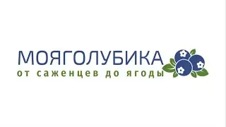 Весенние последствия осенней подкормки азотом.
