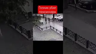 Гопник убил пенсионера в уличной драке