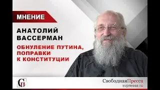 Анатолий Вассерман: Обнуление Путина, поправки к Конституции