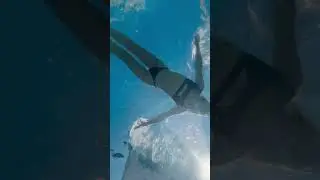 I'm flying over the water🕊️