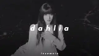 (g)i-dle // dahlia (𝒔𝒍𝒐𝒘𝒆𝒅 𝒏 𝒓𝒆𝒗𝒆𝒓𝒃)