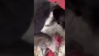 хахаха