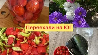 Купили дом🏠2️⃣5️⃣8️⃣Заготовки на ЗИМУ✅Помидорки в банку и под тряпку✅Мои первые салаты на юге😅✅